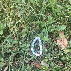 Colorful Beaded Bracelet